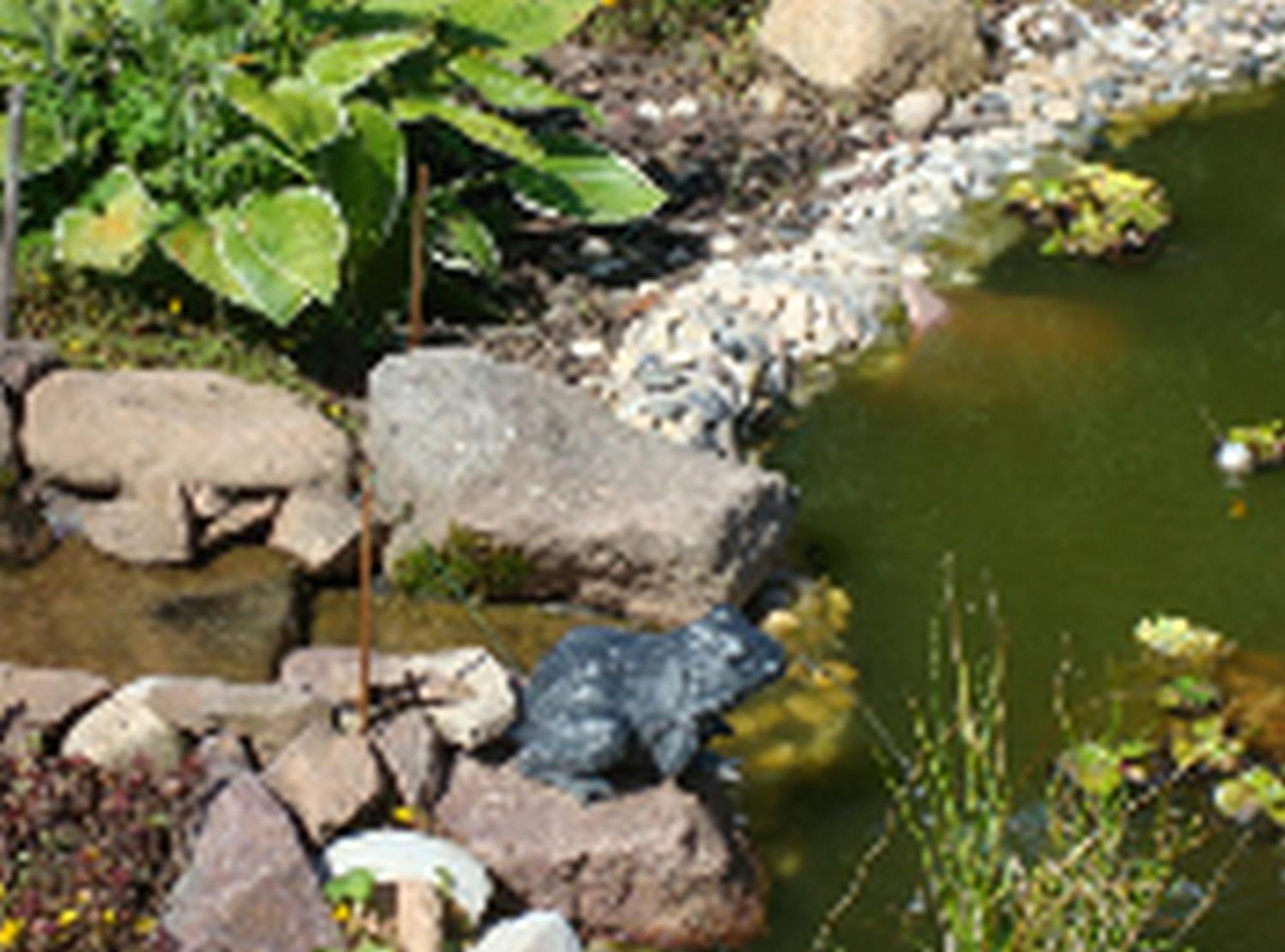 Le Clos Pre La Voivre  Buitenkant foto